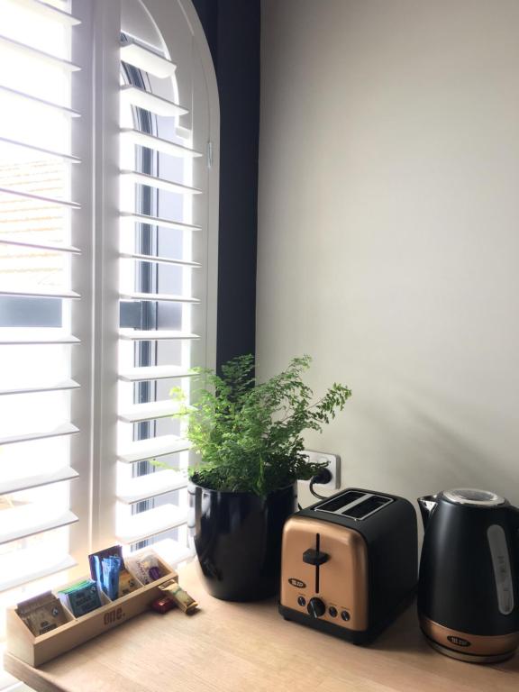 The Stables Dunedin - Resim 32