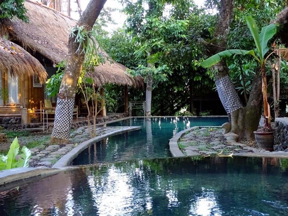Bazén v ubytování Omunity Bali nebo v jeho okolí