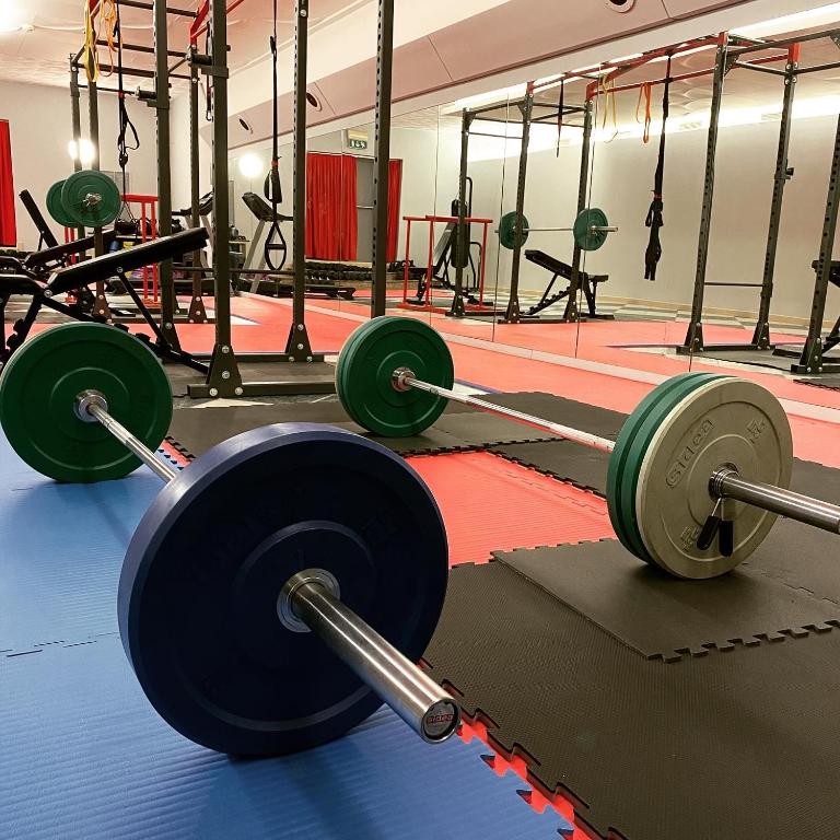 Fitness centrum a/nebo fitness zařízení v ubytování Hotel Parco Delle Rose