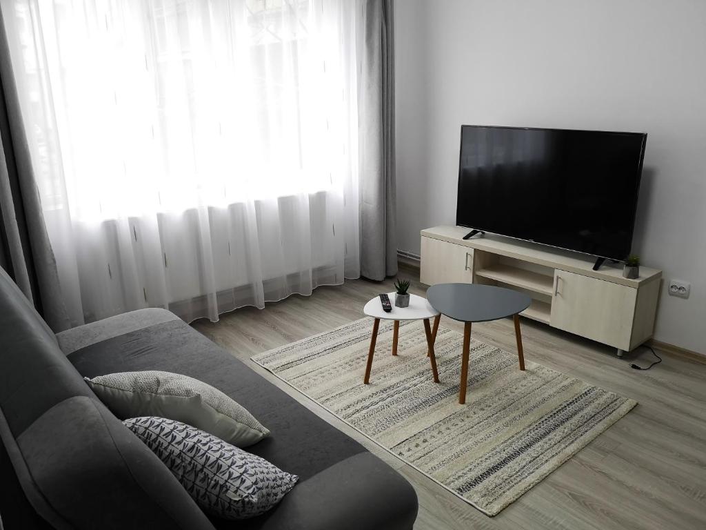 sala de estar con sofá y TV de pantalla plana en Cosy Elegant Apartment, en Cehu Silvaniei