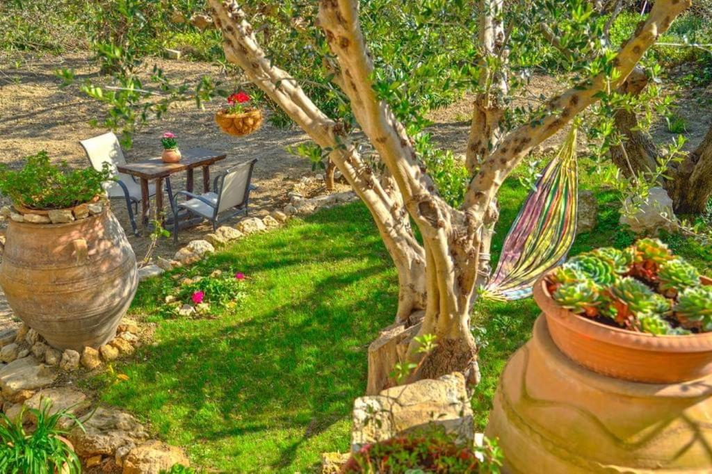 a garden with a tree and some potted plants at Picturesque Traditional Stone House in Plátanos