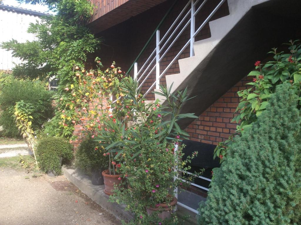 Ferienwohnung Haumannshof - 14