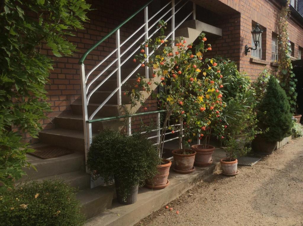 Ferienwohnung Haumannshof - 13