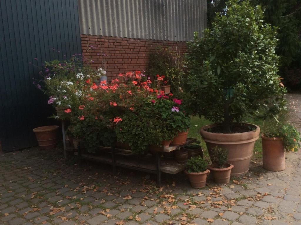 Ferienwohnung Haumannshof - 12