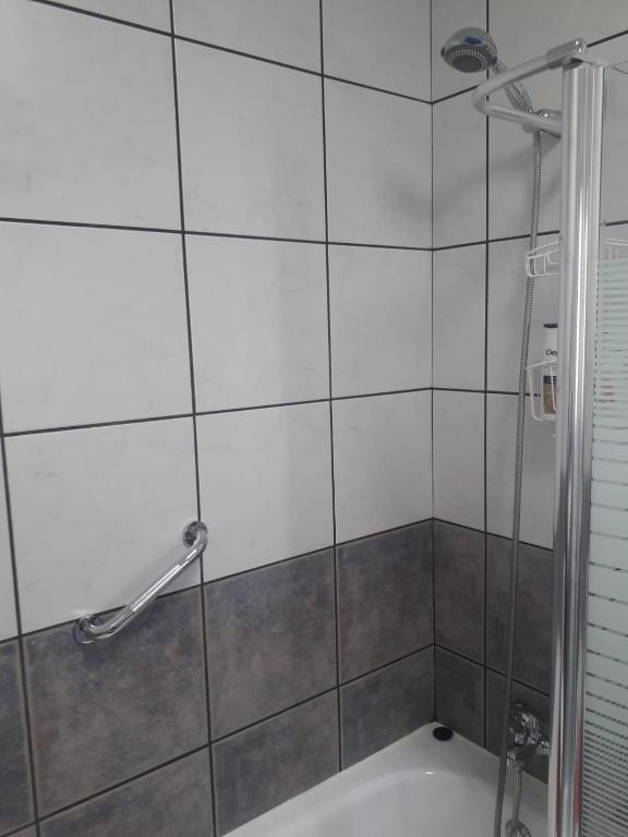 Koupelna v ubytování Villa Danko