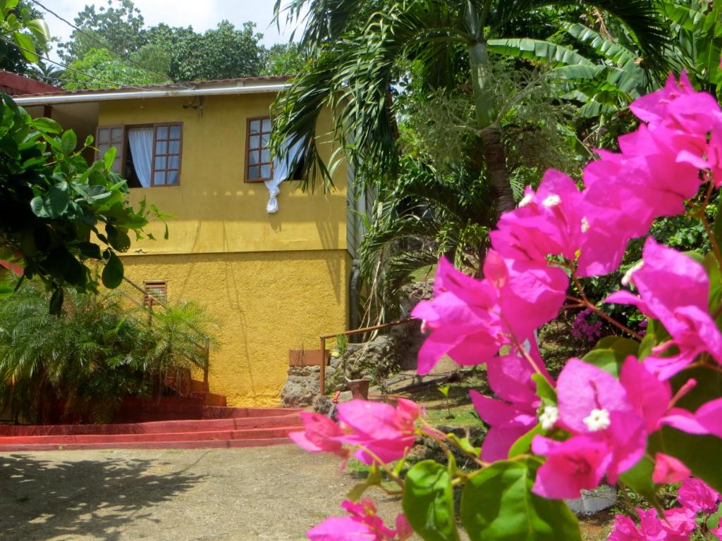 a house with pink flowers in front of it at La Familia Guest House and Natural Farm in Port Antonio