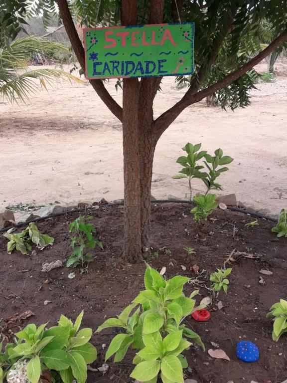 Zahrada ubytování Chalé com Vista Privilegiada