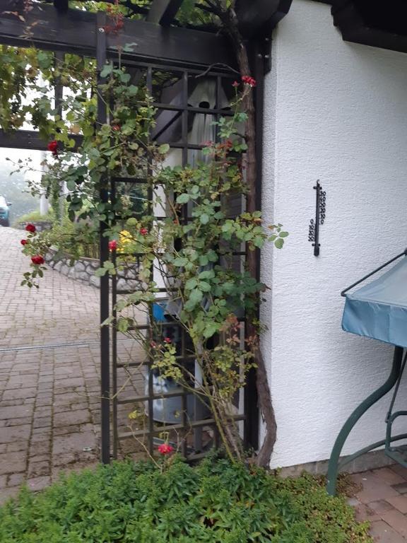 Apartman Ksenija Delnice - 16