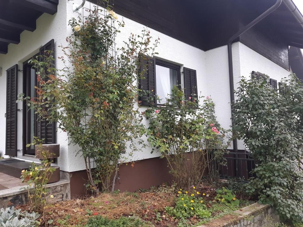 Apartman Ksenija Delnice - 11