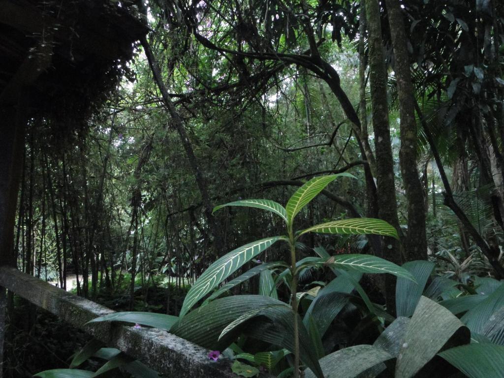  Pousada do Oasis
