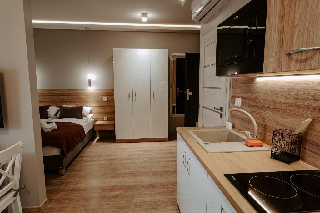 Apartamenty i Pokoje InforesPark - Apartamento De Una Habitación