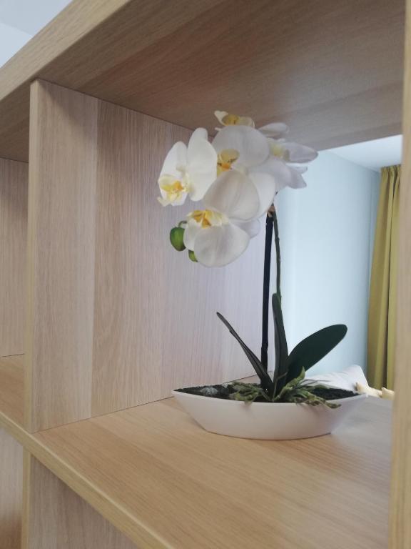 Fotografia z galérie ubytovania Apartment MyMara No3 v Bešeňovej