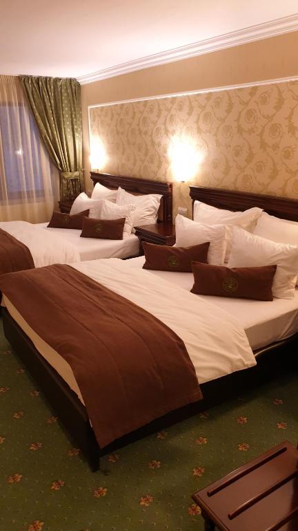 a hotel room with two beds with brown and white pillows at Hotel Fantanita Haiducului in Bradu