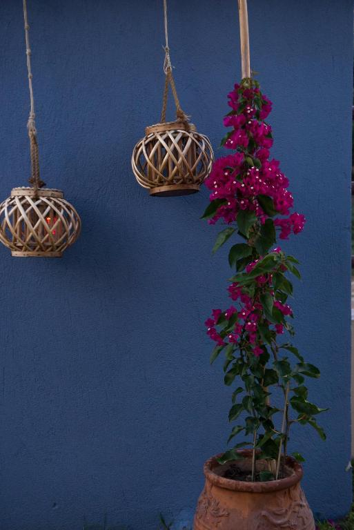 Fotografia z galérie ubytovania Roxani's Apartments v destinácii Agios Nikolaos