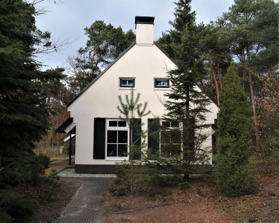 Casa blanca con ventanas y árboles negros en De Witte Bergen 84, en IJhorst