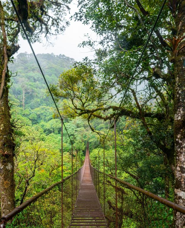 Un paisaje natural cerca del hotel