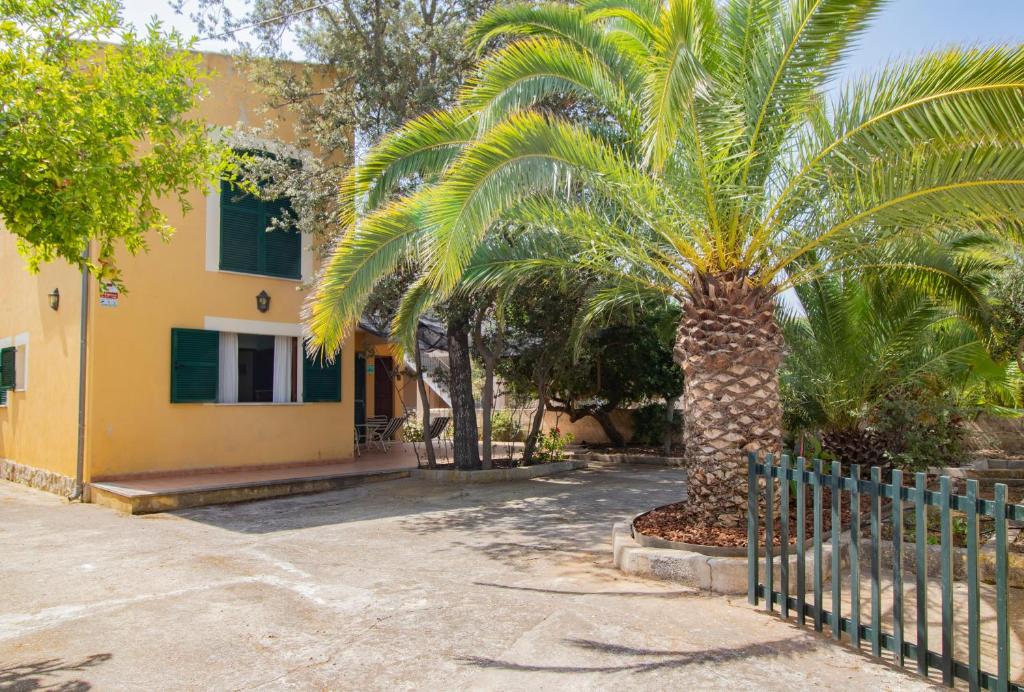 阿爾庫迪亞的住宿－Camí de la Victòria，房屋前的棕榈树