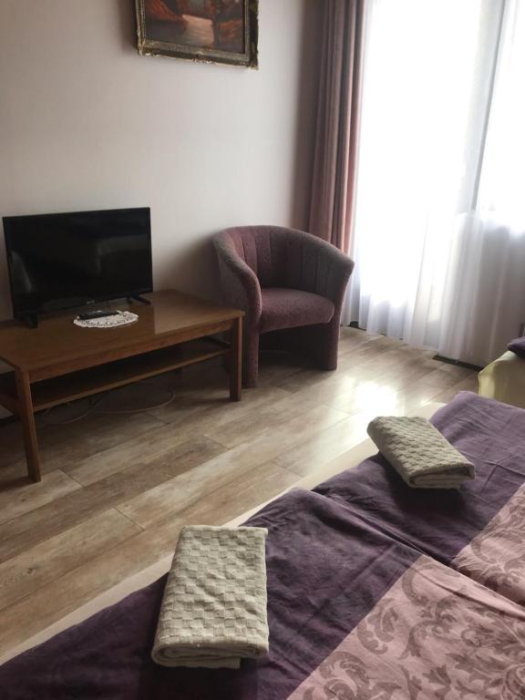 een woonkamer met een tv en een bank en een stoel bij Ilona Panzió in Balatonlelle