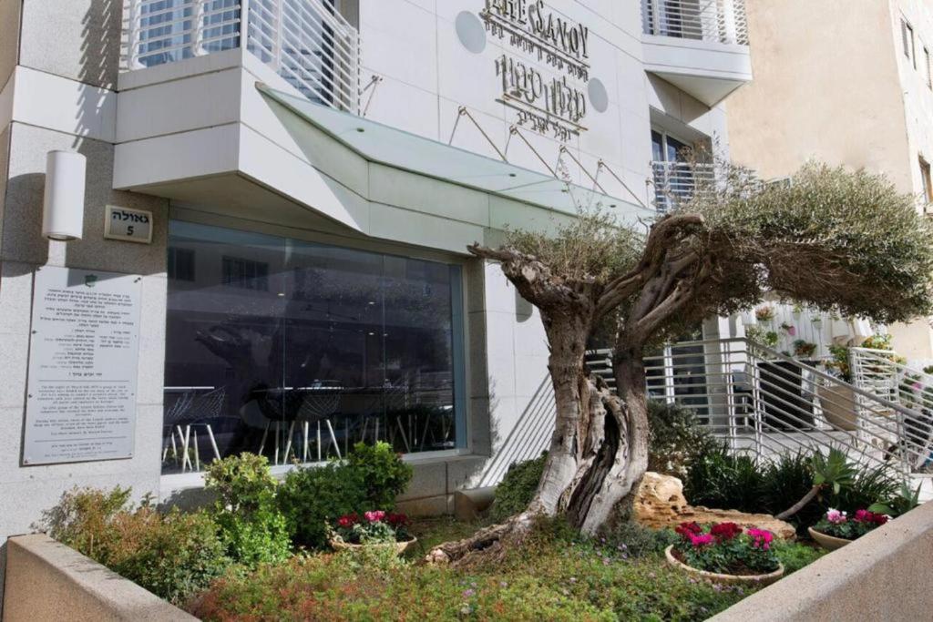 Savoy Sea Side Hotel, Tel Aviv – Updated 2023 Prices