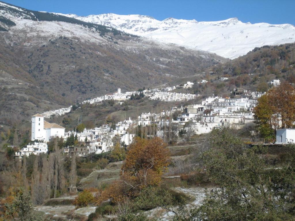 Paisaje cerca de este apartamento