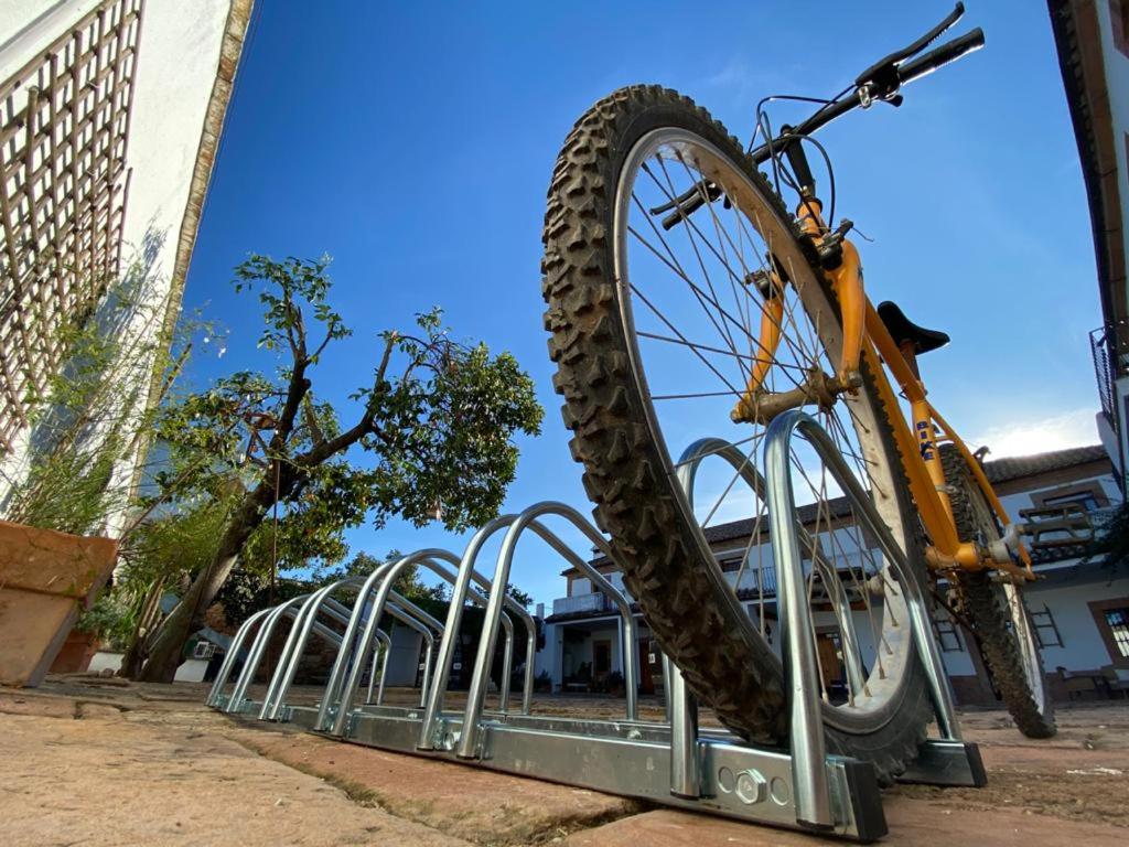 Montar en bicicleta en Molino La Nava o alrededores