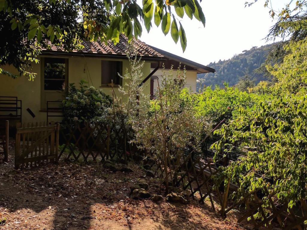 Táj az apartman közelében