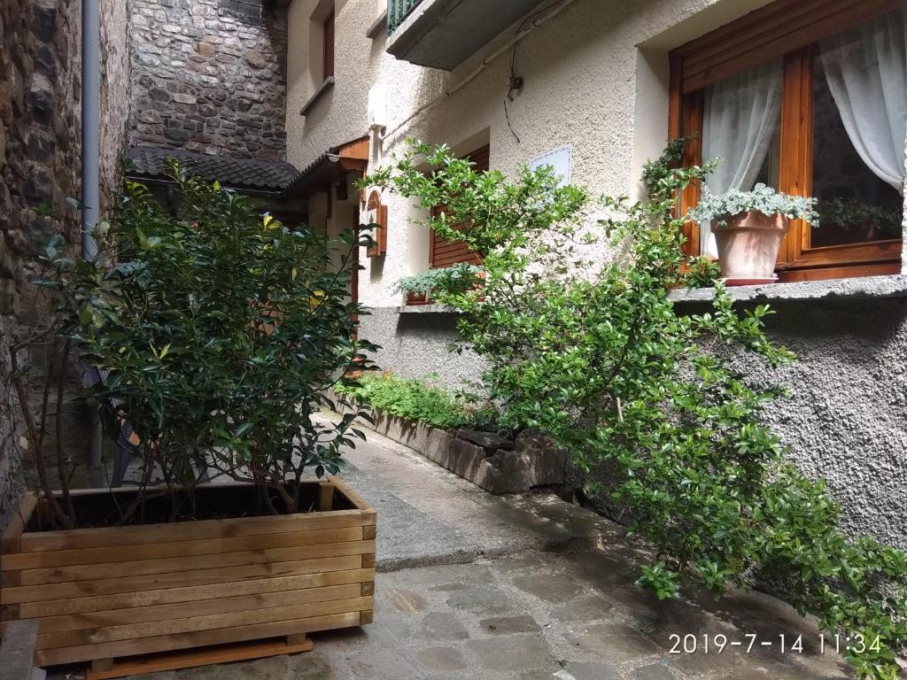Zahrada ubytování Casa Julio