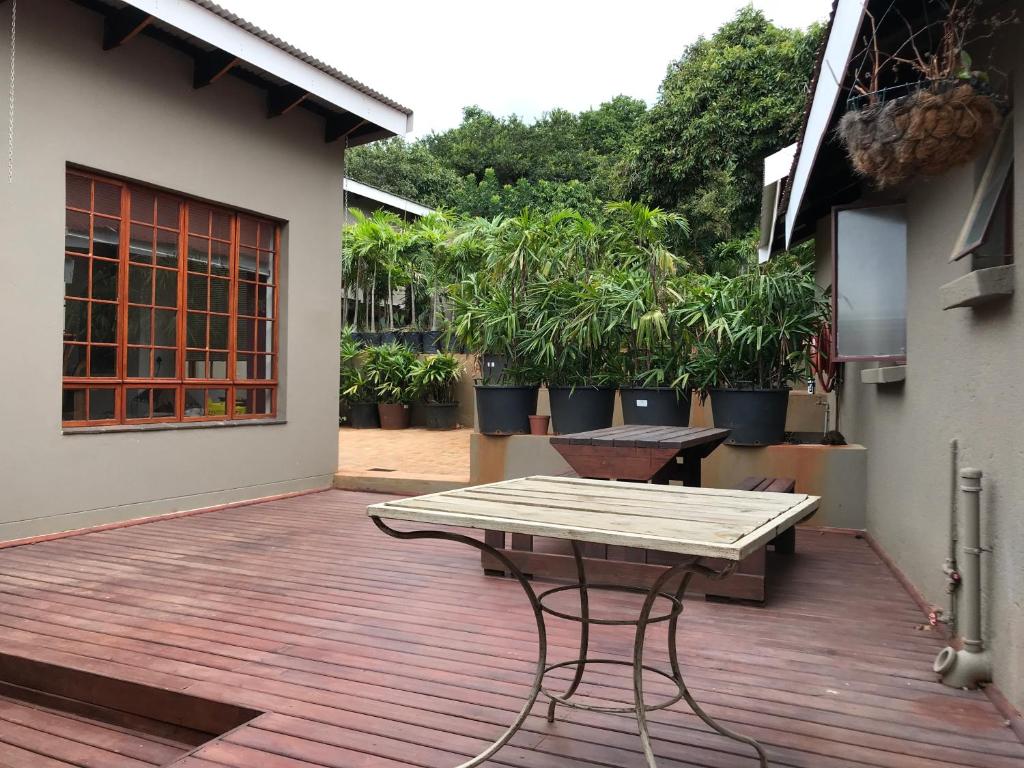 Amafu Forest Lodge - Comfort Cabin