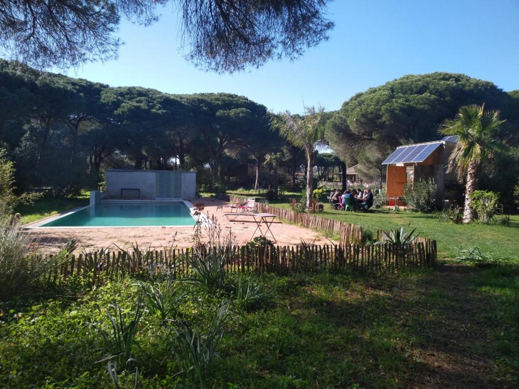 un patio trasero con piscina y árboles en miCielo - Baumhäuser, en Vejer de la Frontera