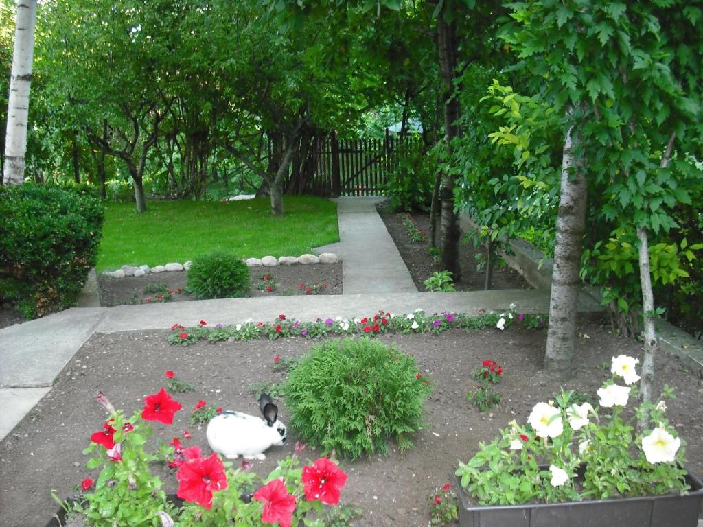 a garden with red and white flowers and a swan at Apartmani Smiljanic Sokobanja in Soko Banja