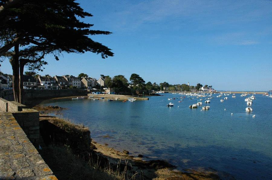 un cuerpo de agua con cisnes y patos. en Hôtel Glann Ar Mor, en Arzon