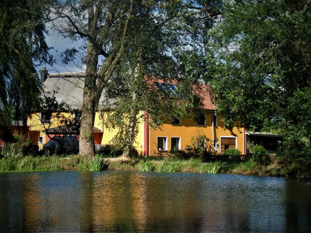 una casa gialla con un albero e un laghetto di Ferienhof im grünen Herzen a Dittersdorf