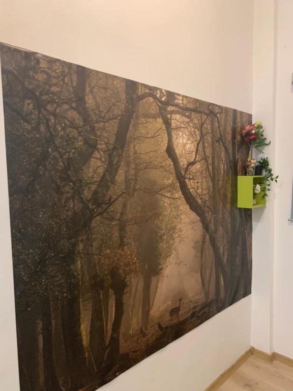Fotografie z fotogalerie ubytování Bucarest B&B v Bukurešti