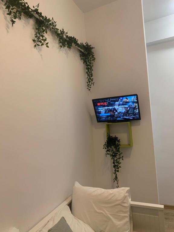 TV a/nebo společenská místnost v ubytování Bucarest B&B