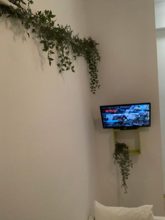 TV a/nebo společenská místnost v ubytování Bucarest B&B