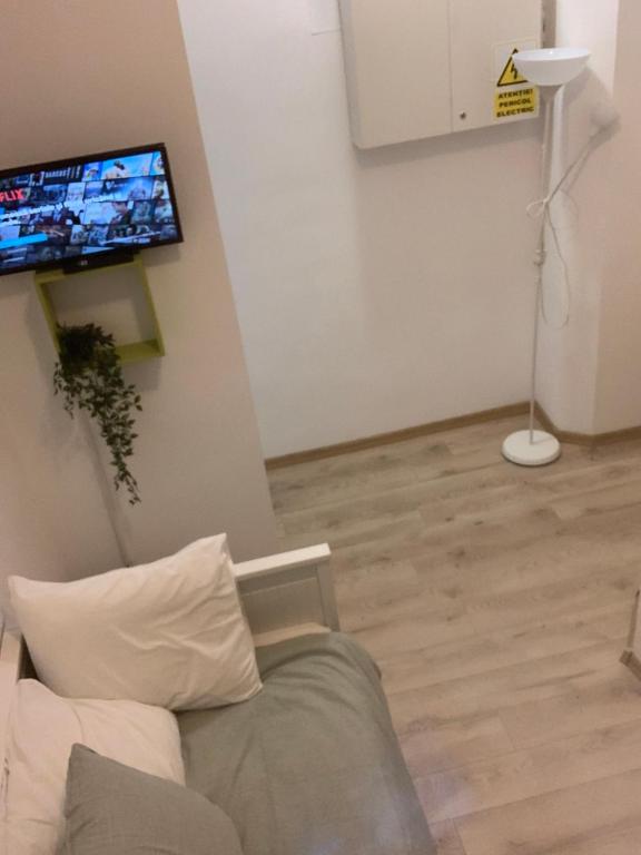 TV a/nebo společenská místnost v ubytování Bucarest B&B