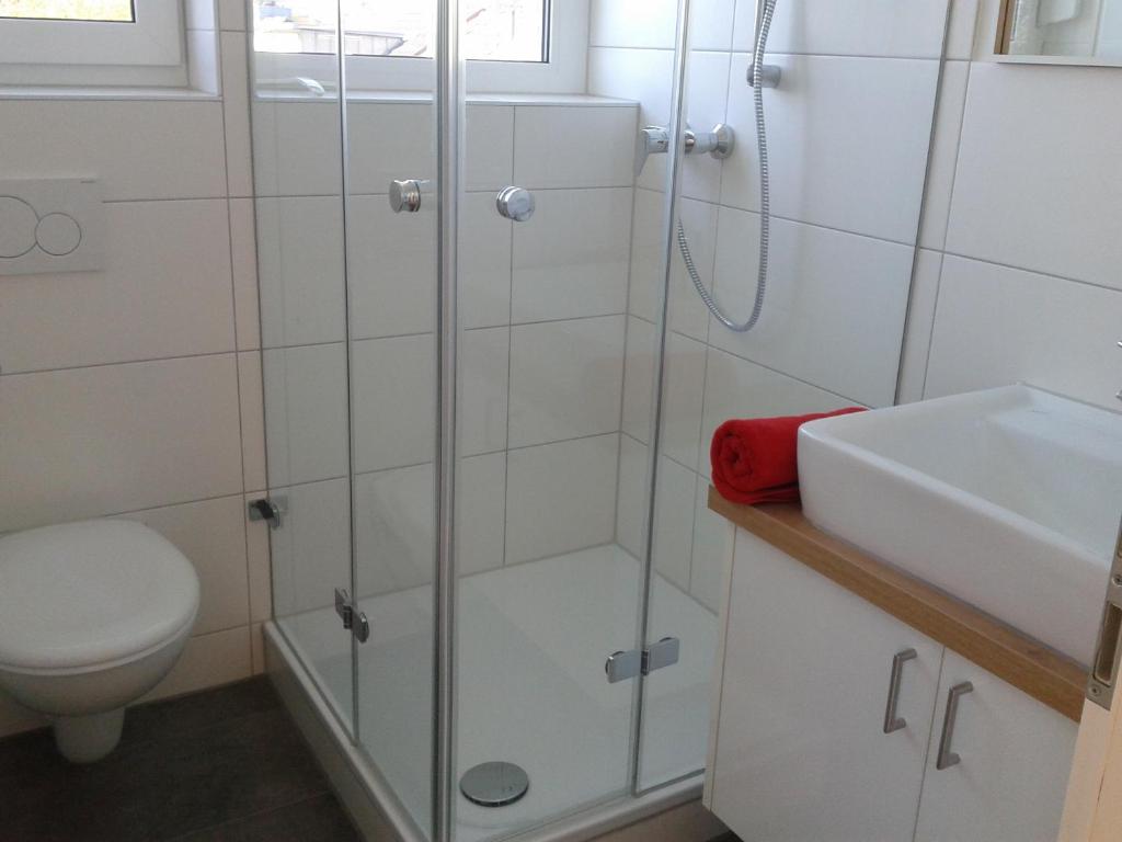 La salle de bains est pourvue d'une douche, de toilettes et d'un lavabo. dans l'établissement Haus Meersburg See, à Meersburg