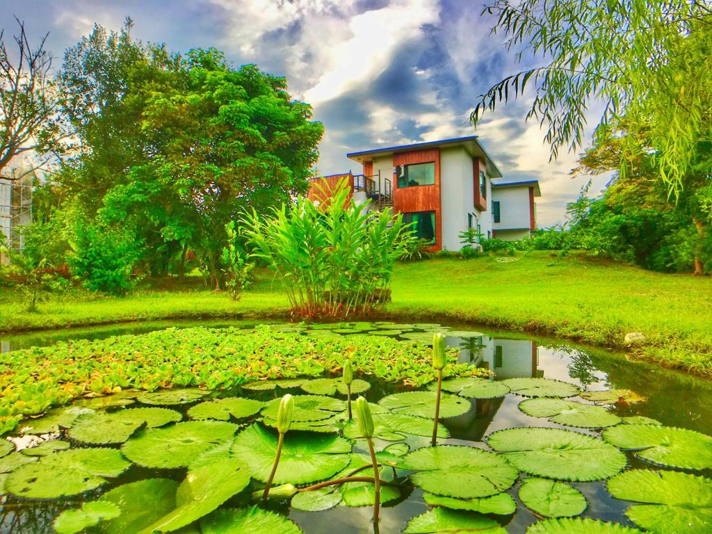 Zahrada ubytování 雲起軒民宿 Cloudscape B&B