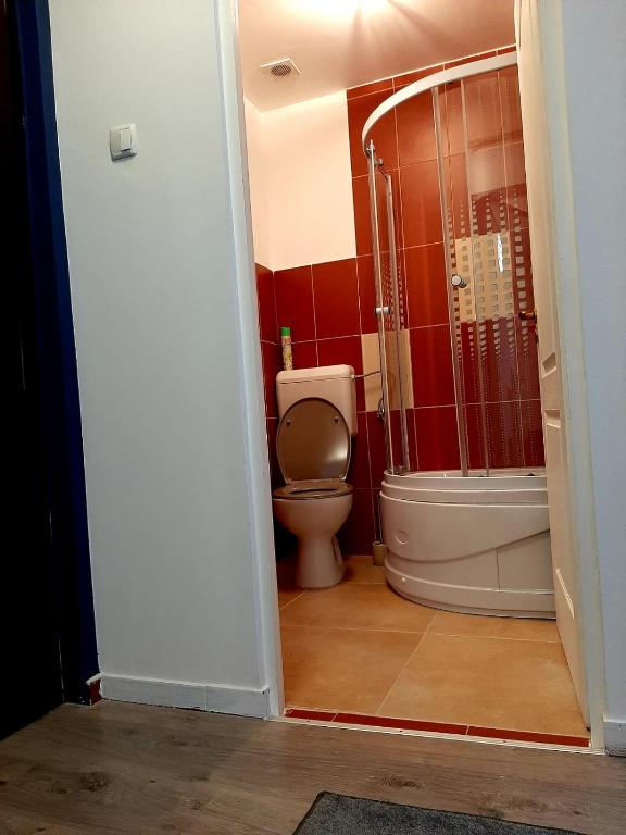 Bulevard mansards - Studio