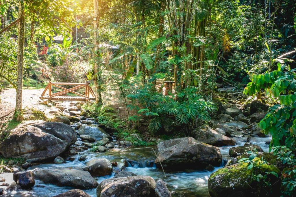  Espaço Viverde Penedo