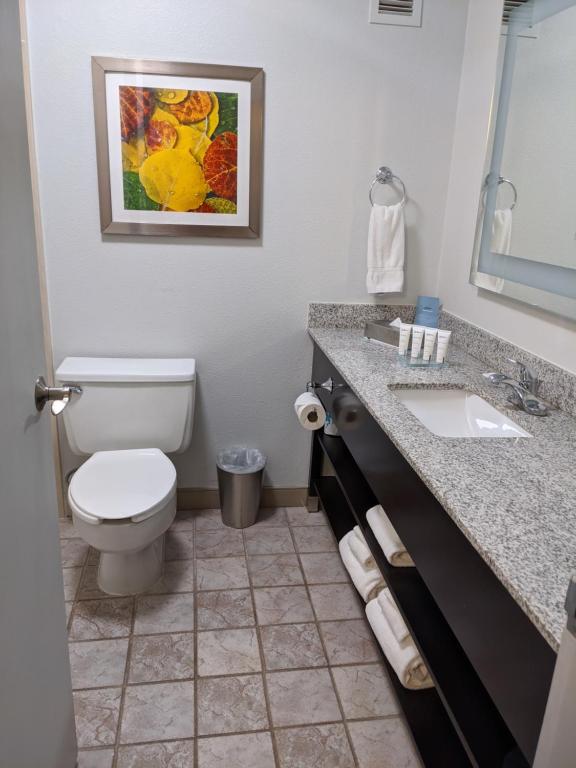 Radisson Hotel Denver Central - 
