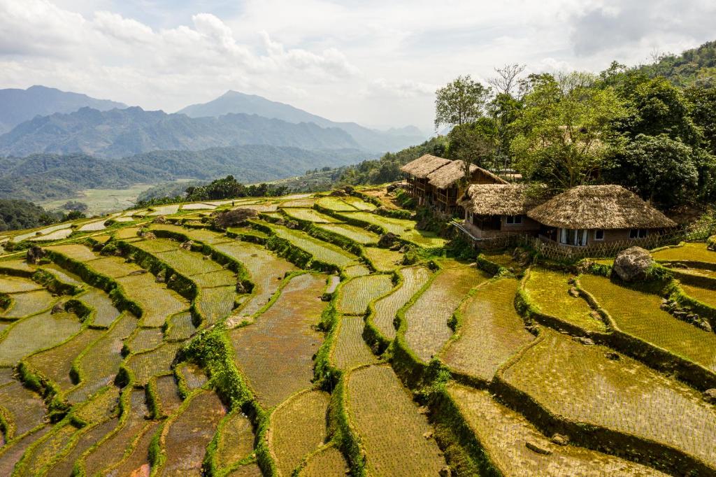 een luchtzicht op rijstterrassen in de bergen bij Pu Luong Ecocharm in Hương Bá Thước