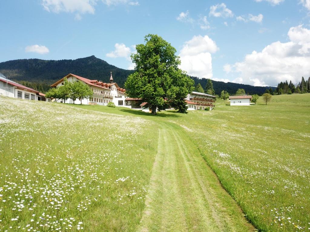 Příroda nedaleko hotelu