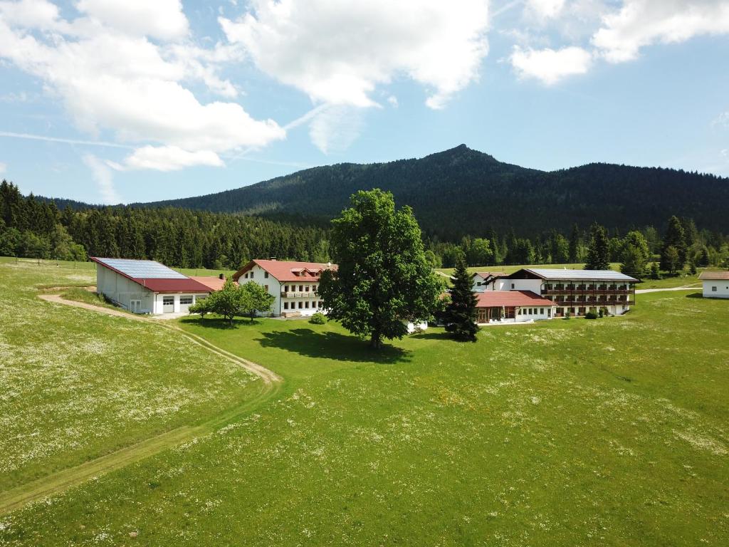 ein großes Grasfeld mit Gebäuden und einem Baum in der Unterkunft Osserhotel Garni in Lohberg