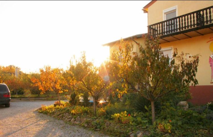 a building with trees in front of a building at Ferienwohnungen Ödenburgerhof in Mörbisch am See