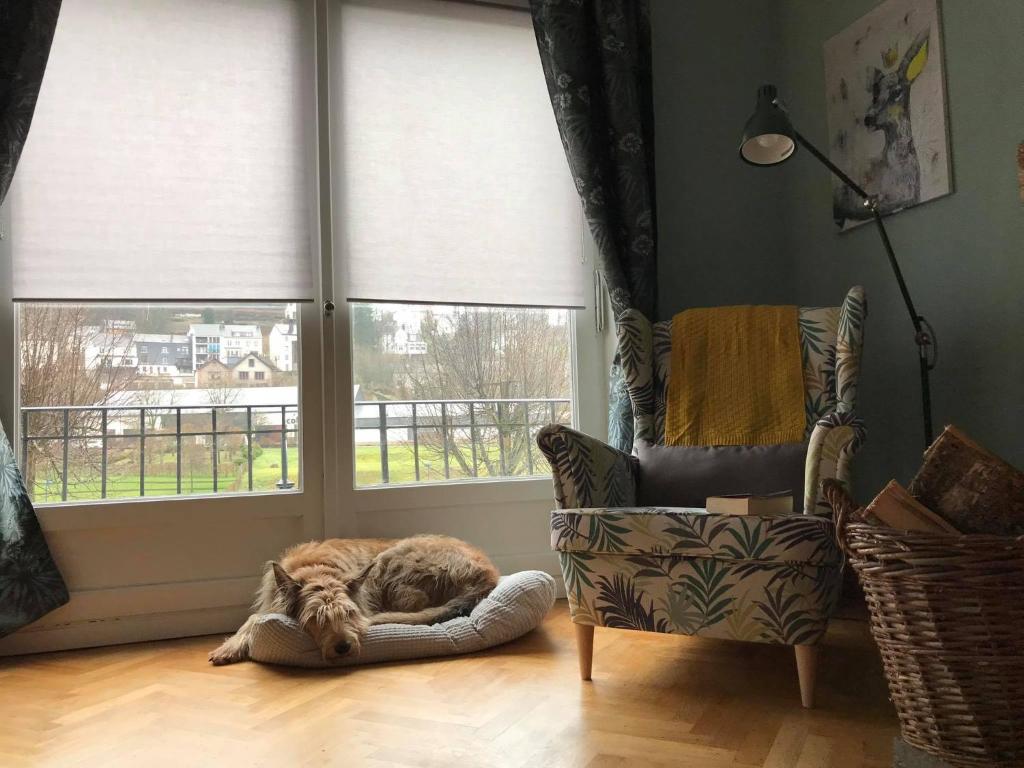 Au Pied Du Château - Appartement Met één Slaapkamer