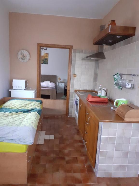 Kuchyň nebo kuchyňský kout v ubytování Apartman Ema