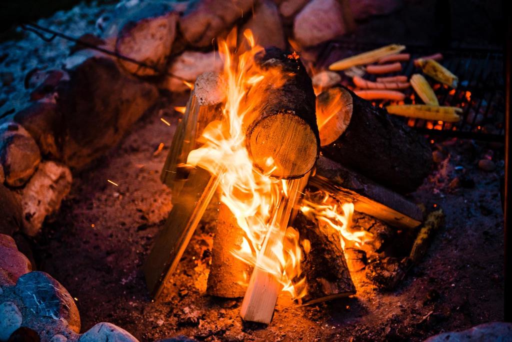 Fotografie z fotogalerie ubytování Glamping FOREST EDGE v destinaci Kamnik