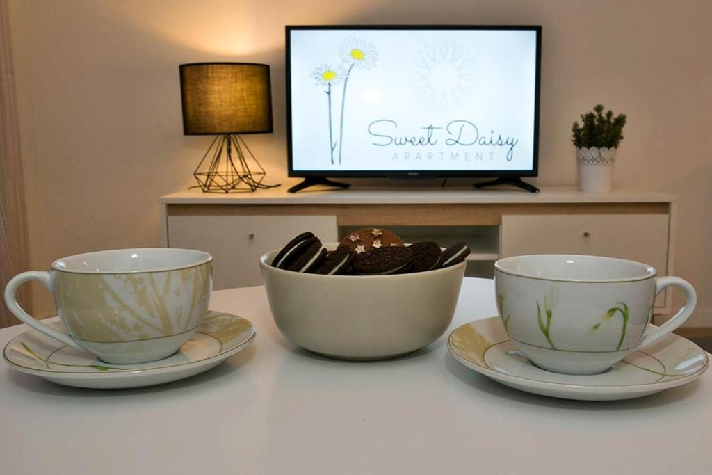 Príslušenstvo na prípravu kávy alebo čaju v ubytovaní Apartment Sweet Daisy with parking