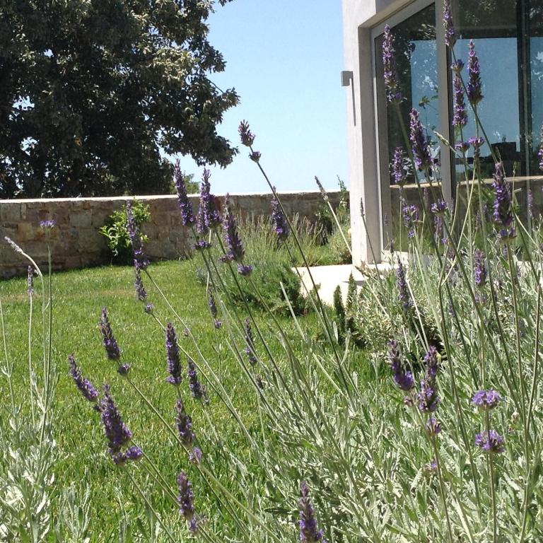Zahrada ubytování Lidea Boutique Hotel